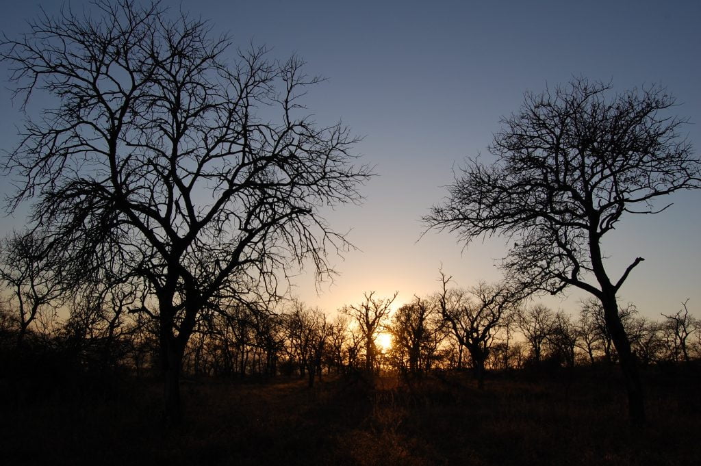 Photo sunrise Hluhluwe Imfolozi Park