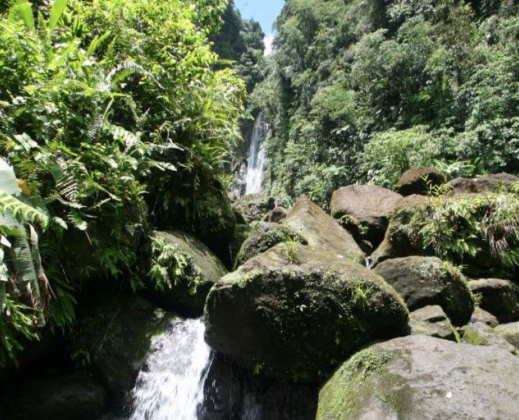 Dominica Rainforest Waterfalls