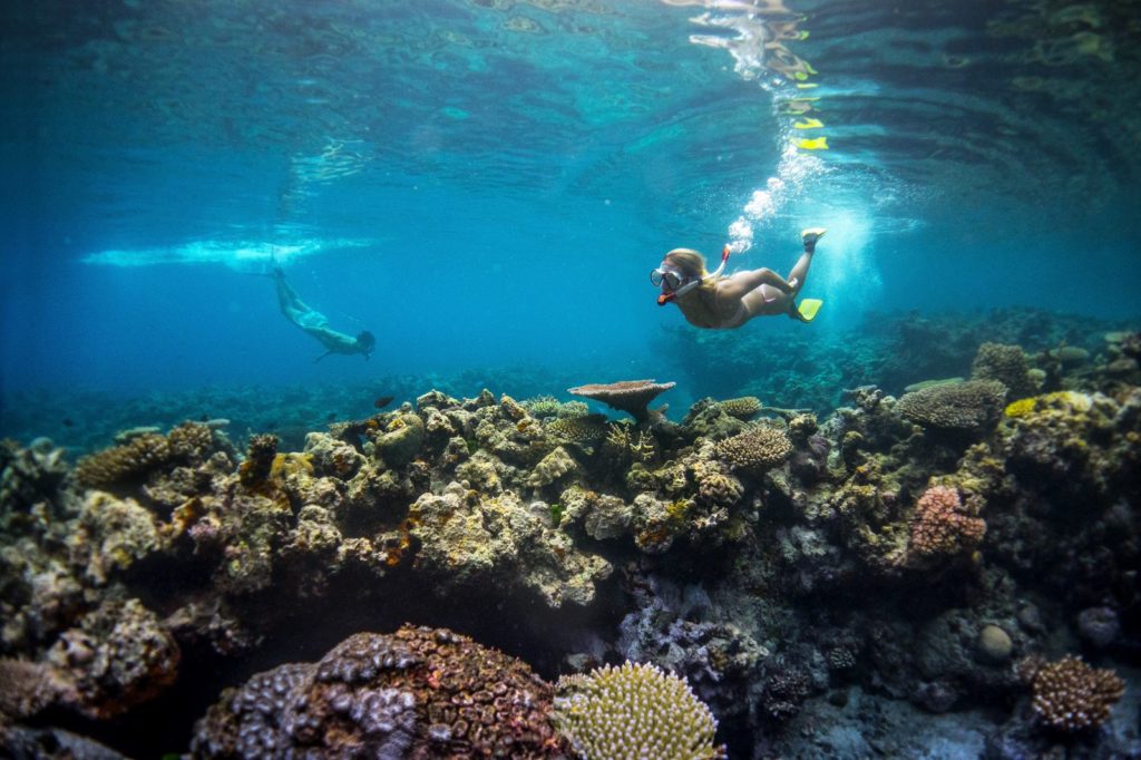 Vanuatu Underwater Adventure