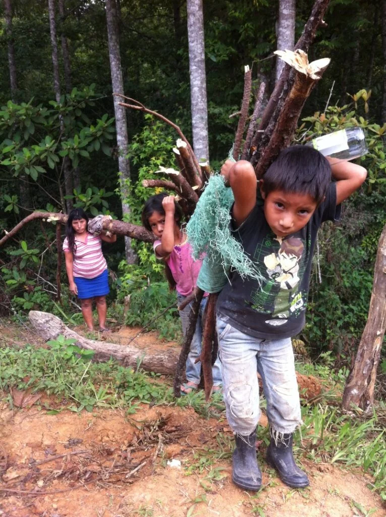 Gathering firewood for cooking