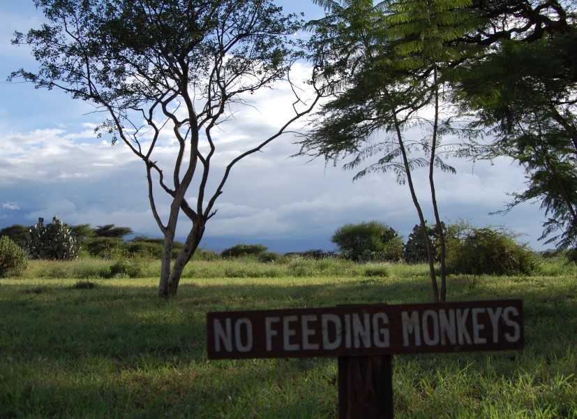 Amboseli Lodge Kenya